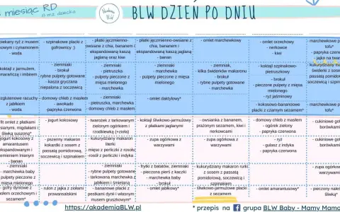 Co na obiad dla 7-miesięcznego dziecka? Przepisy, BLW i planowanie.