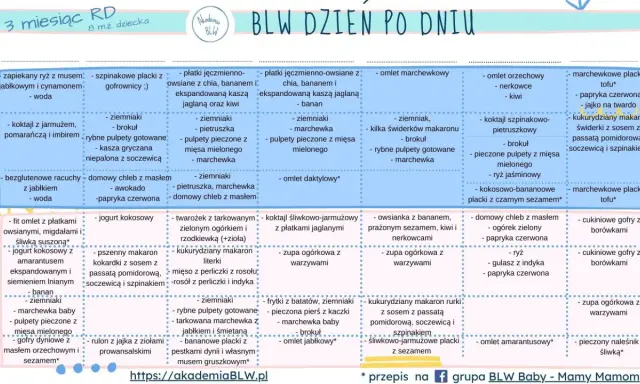 Co na obiad dla 7-miesięcznego dziecka? Przepisy, BLW i planowanie.
