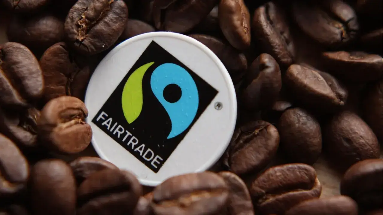 Plantacja kawy Fair Trade lub symbol sprawiedliwego handlu