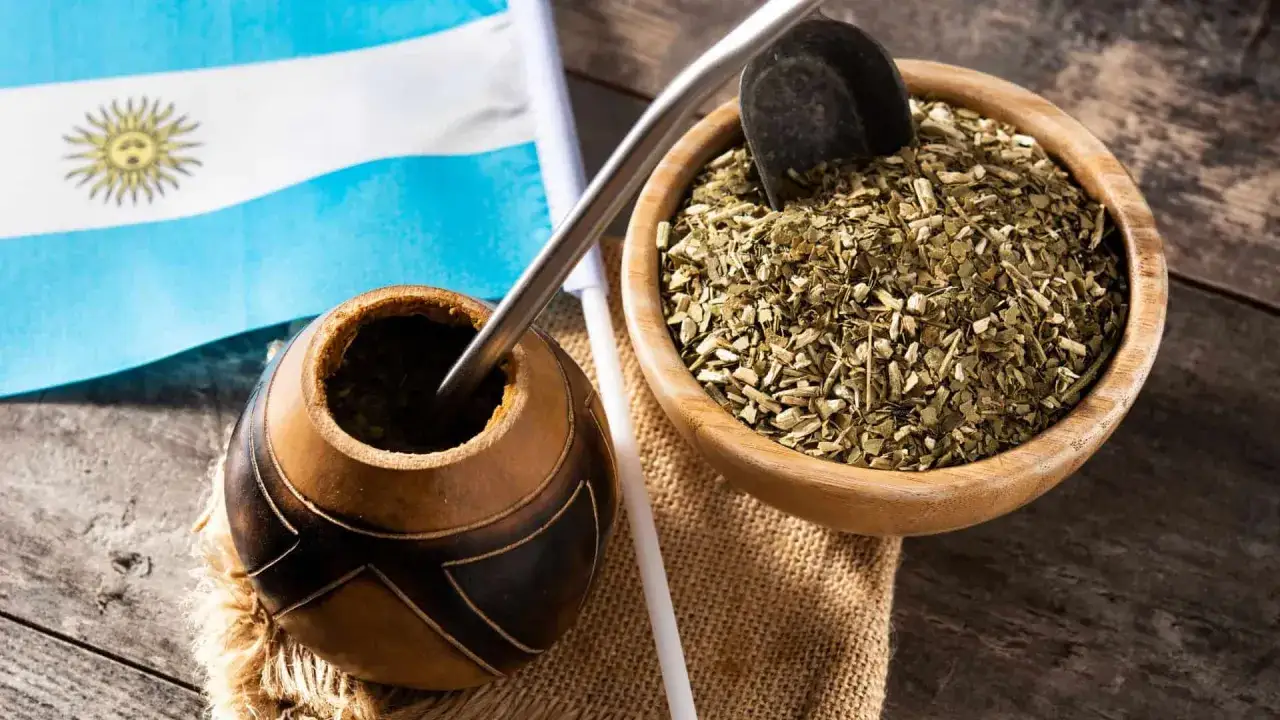Osoba pijąca yerba mate i matcha